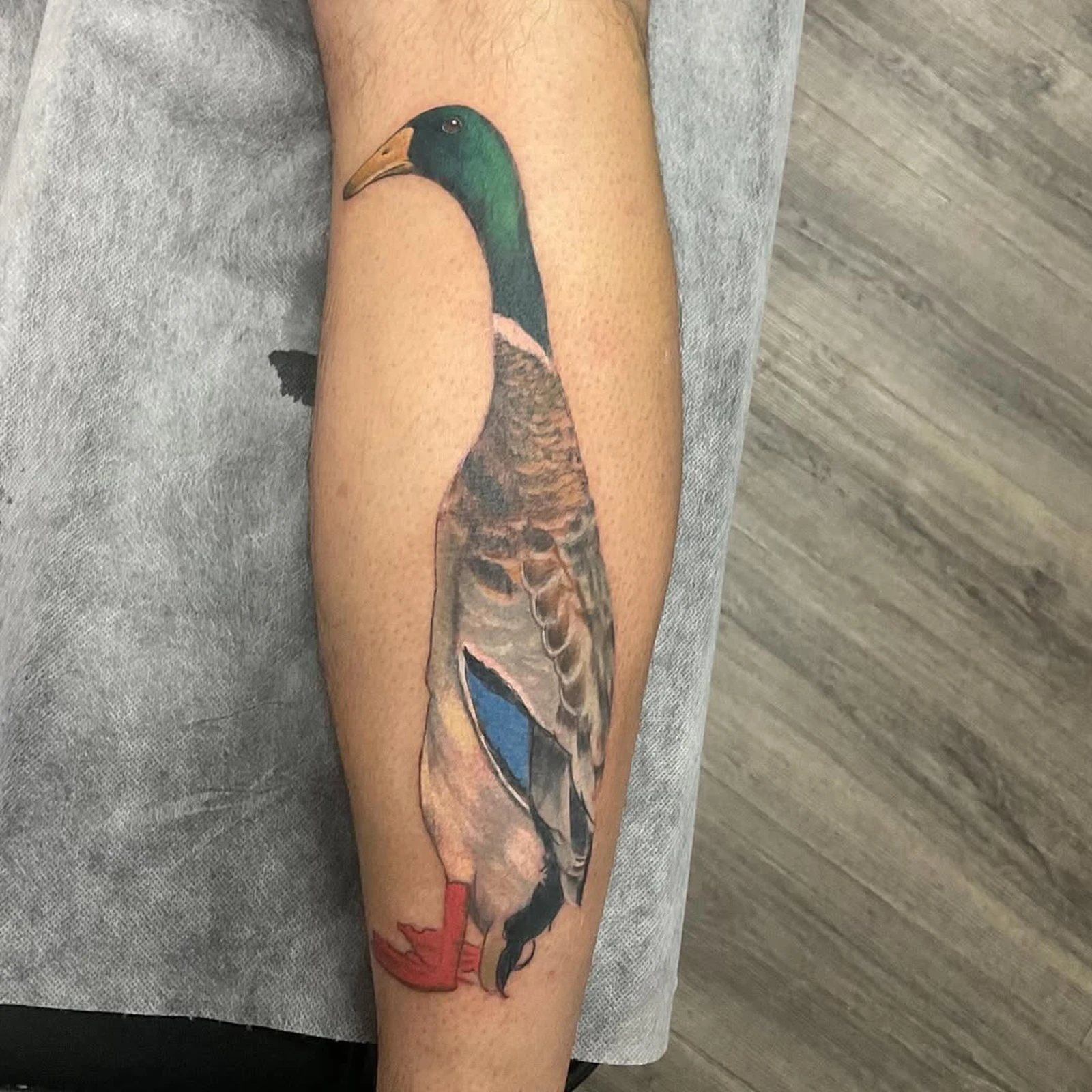Realism mallard duck tattoo on calf